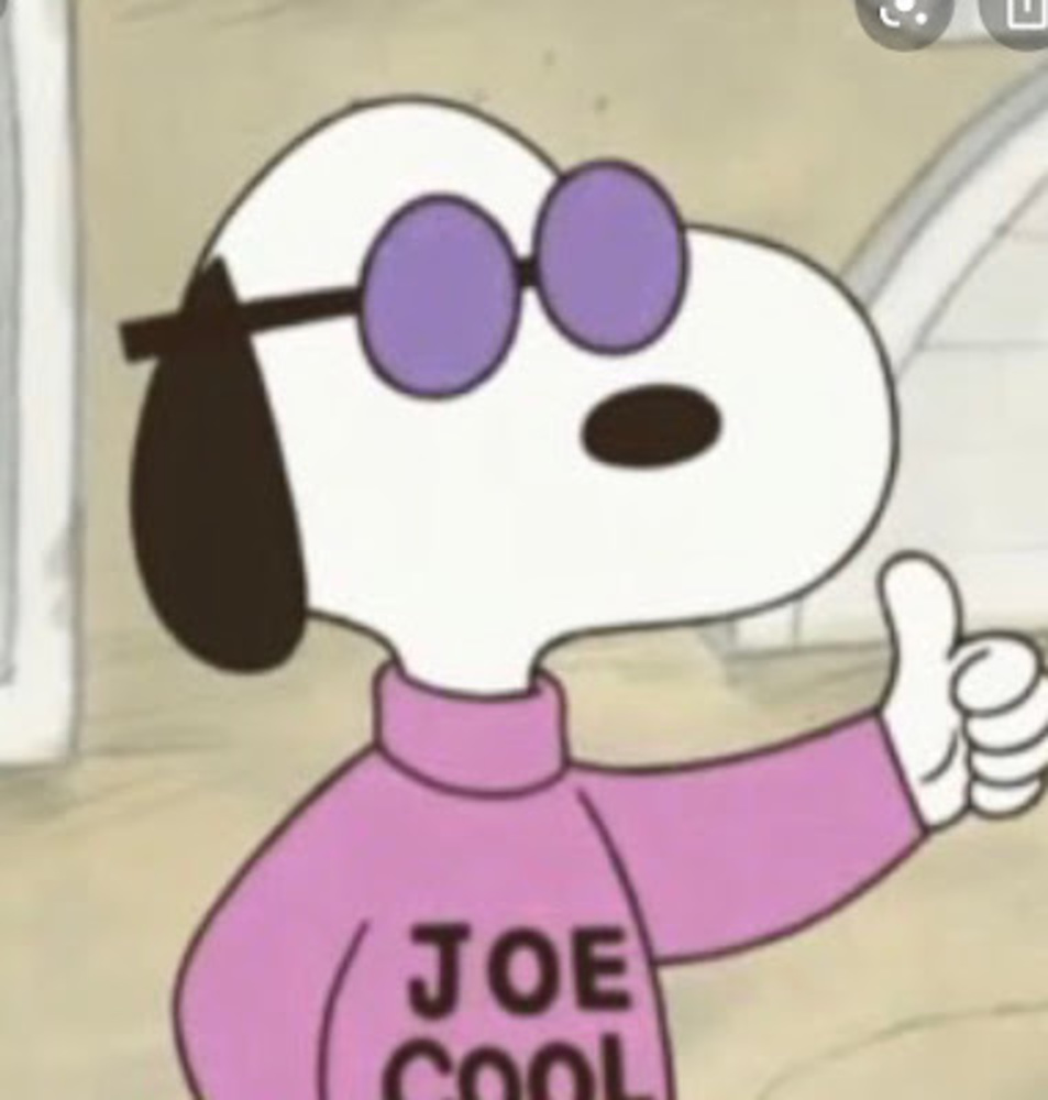 Meet your Posher, Dsjay